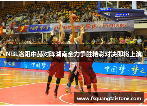 NBL洛阳中赫对阵湖南全力争胜精彩对决即将上演