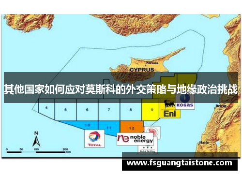 其他国家如何应对莫斯科的外交策略与地缘政治挑战