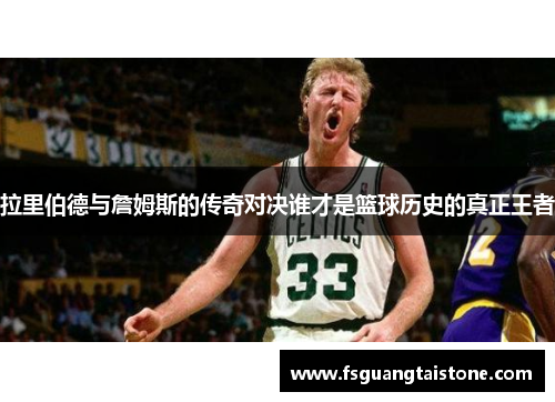 拉里伯德与詹姆斯的传奇对决谁才是篮球历史的真正王者